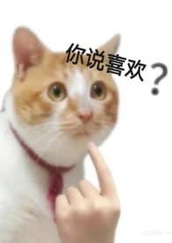 抱歉,爱不起(np,h)
